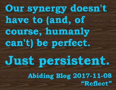 Our synergy doesn't have to (and, of course, humanly can't) be perfect. Just persistent. #NotPerfect #Persist #AbidingBlog2017Reflect
